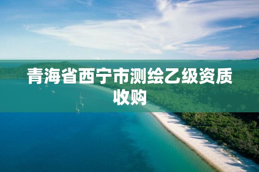 青海省西寧市測繪乙級資質收購