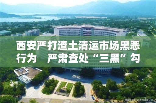 西安嚴打渣土清運市場黑惡行為　嚴肅查處“三黑”勾結執法人員問題