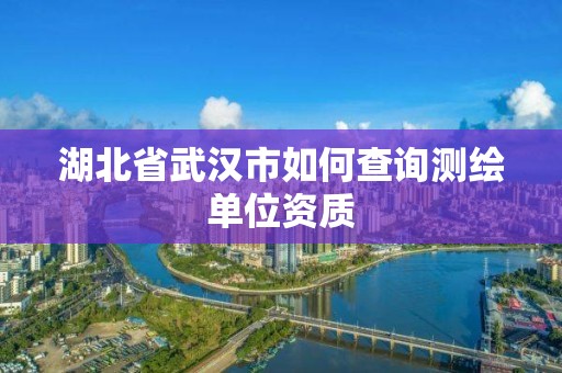 湖北省武漢市如何查詢測繪單位資質