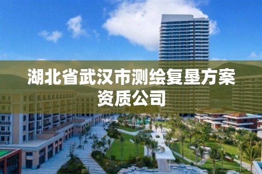 湖北省武漢市測繪復墾方案資質公司