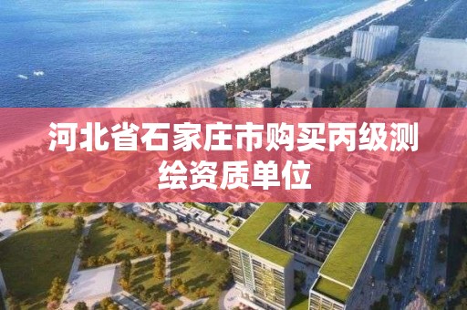 河北省石家莊市購買丙級測繪資質單位