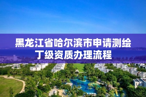 黑龍江省哈爾濱市申請測繪丁級資質辦理流程