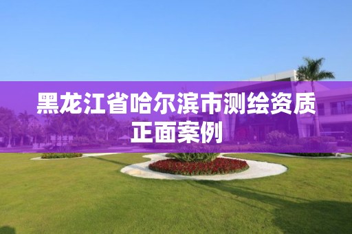 黑龍江省哈爾濱市測繪資質正面案例