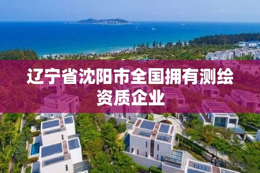 遼寧省沈陽市全國擁有測繪資質企業