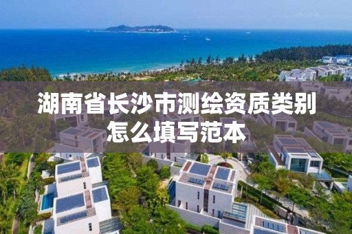 湖南省長沙市測繪資質類別怎么填寫范本