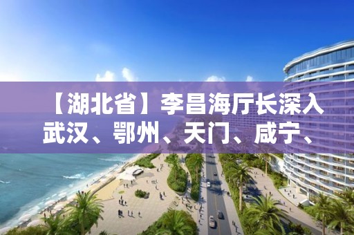 【湖北省】李昌海廳長深入武漢、鄂州、天門、咸寧、荊門檢查社區（小區）封閉管理工作