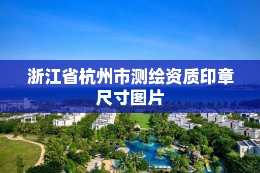 浙江省杭州市測繪資質印章尺寸圖片