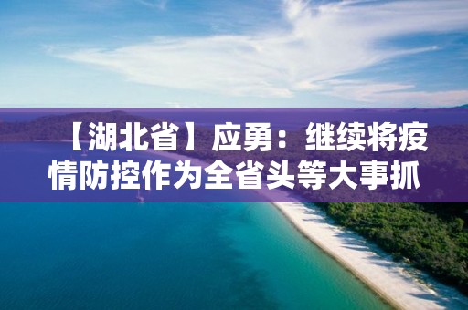 【湖北省】應(yīng)勇：繼續(xù)將疫情防控作為全省頭等大事抓緊抓實(shí)抓細(xì)