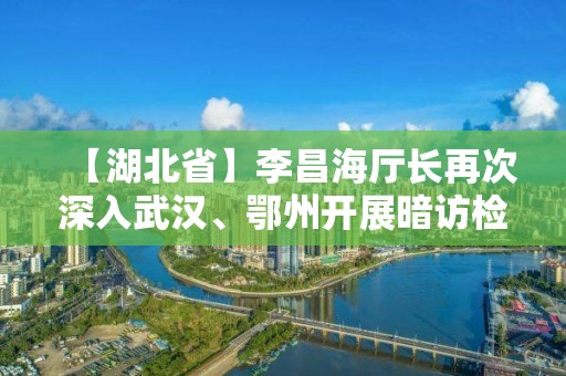 【湖北省】李昌海廳長再次深入武漢、鄂州開展暗訪檢查社區(qū)（小區(qū)）封閉管理工作