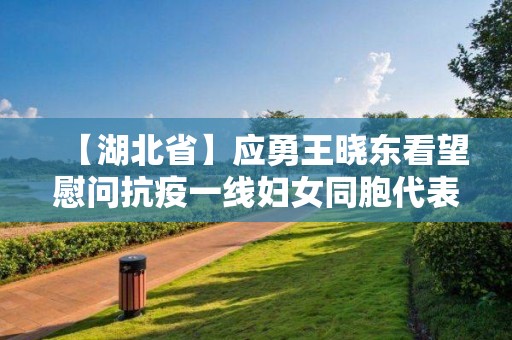 【湖北省】應勇王曉東看望慰問抗疫一線婦女同胞代表