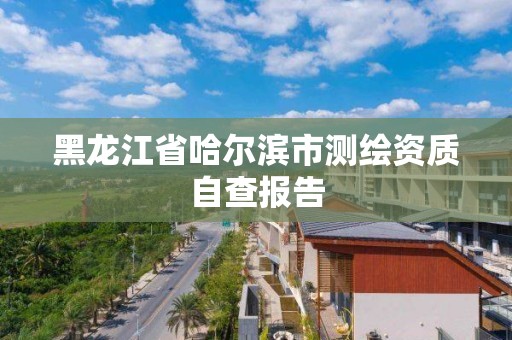 黑龍江省哈爾濱市測繪資質自查報告