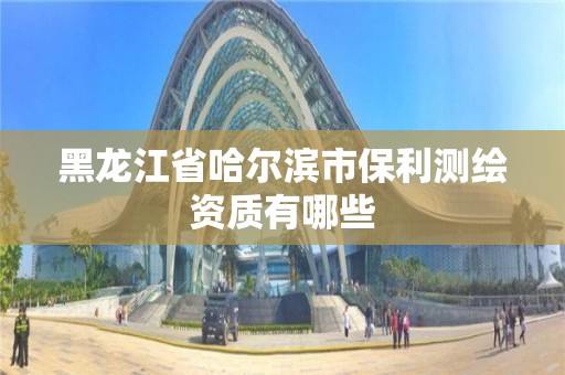 黑龍江省哈爾濱市保利測繪資質有哪些