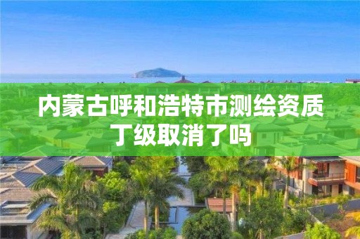 內蒙古呼和浩特市測繪資質丁級取消了嗎