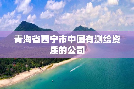 青海省西寧市中國有測繪資質(zhì)的公司