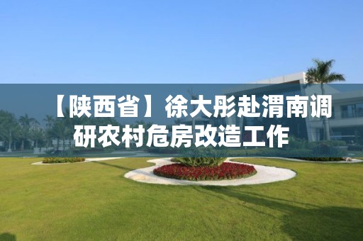 【陜西省】徐大彤赴渭南調研農村危房改造工作