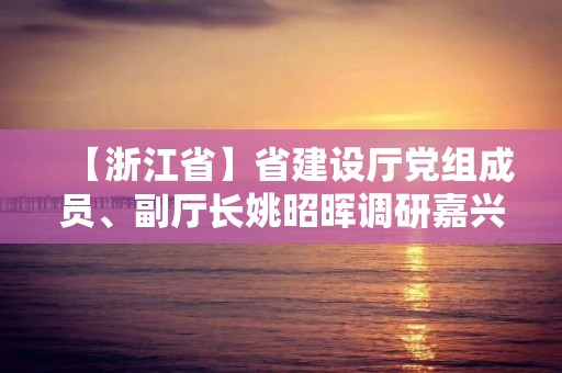 【浙江省】省建設(shè)廳黨組成員、副廳長姚昭暉調(diào)研嘉興城市陽臺景觀塑造工程