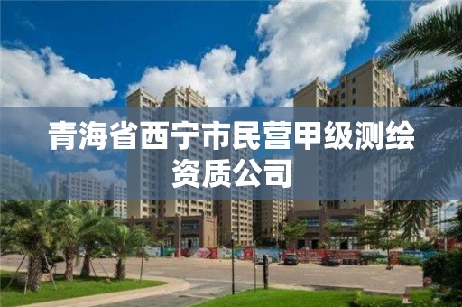 青海省西寧市民營(yíng)甲級(jí)測(cè)繪資質(zhì)公司