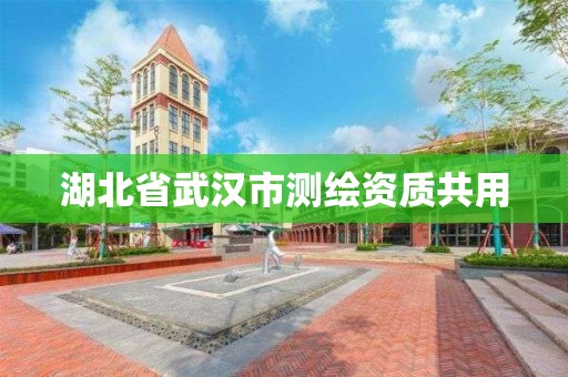 湖北省武漢市測繪資質共用