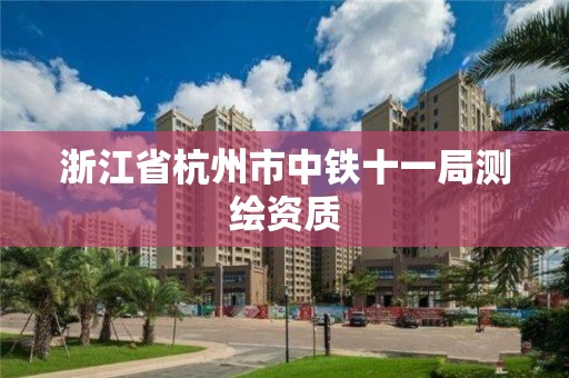 浙江省杭州市中鐵十一局測繪資質(zhì)