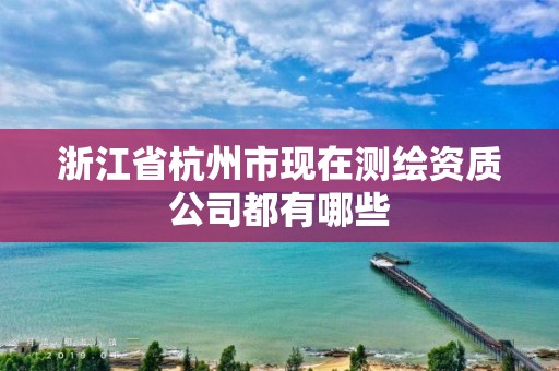 浙江省杭州市現在測繪資質公司都有哪些