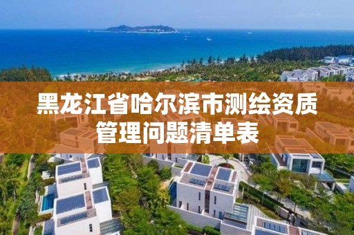 黑龍江省哈爾濱市測繪資質管理問題清單表