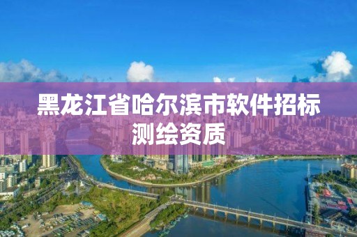 黑龍江省哈爾濱市軟件招標測繪資質