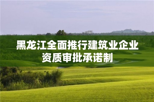 黑龍江全面推行建筑業企業資質審批承諾制