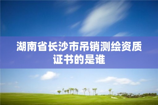 湖南省長沙市吊銷測繪資質(zhì)證書的是誰