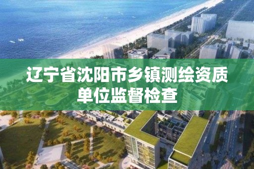 遼寧省沈陽市鄉鎮測繪資質單位監督檢查