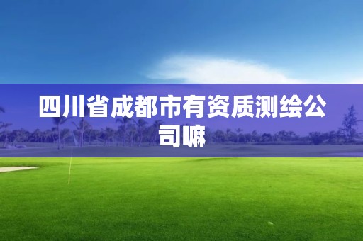 四川省成都市有資質測繪公司嘛