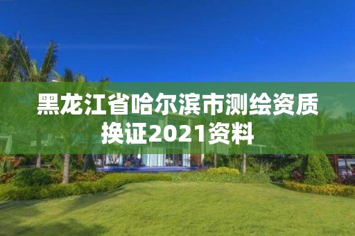 黑龍江省哈爾濱市測繪資質換證2021資料