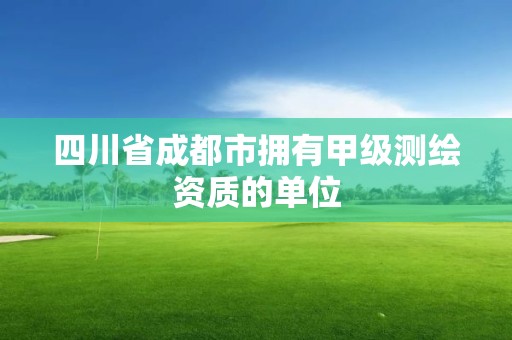 四川省成都市擁有甲級測繪資質的單位