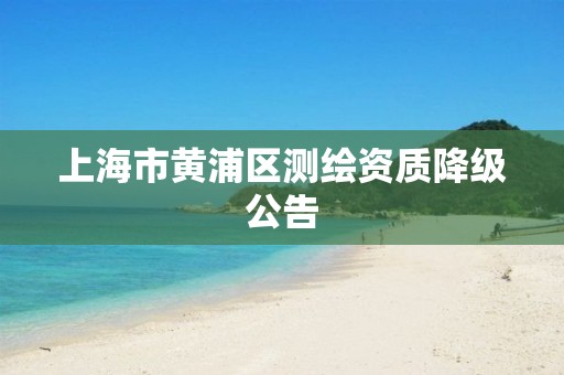 上海市黃浦區測繪資質降級公告