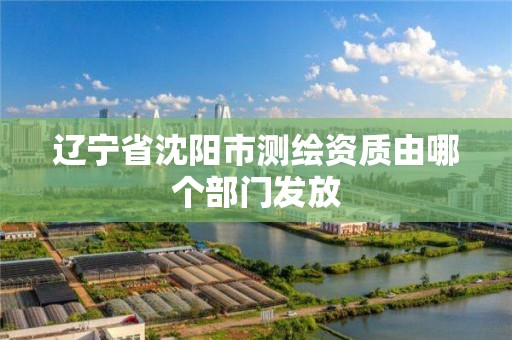 遼寧省沈陽市測繪資質由哪個部門發放