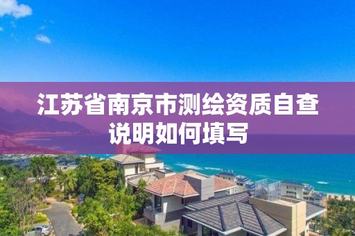 江蘇省南京市測繪資質自查說明如何填寫