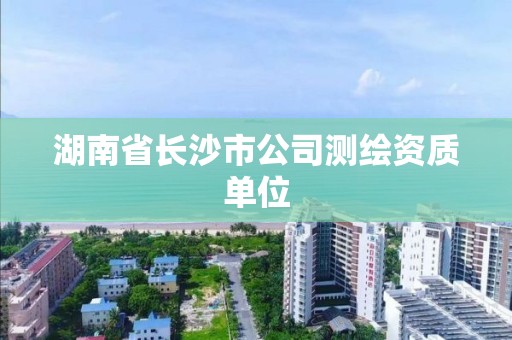 湖南省長沙市公司測繪資質單位