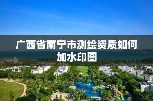 廣西省南寧市測繪資質如何加水印圖