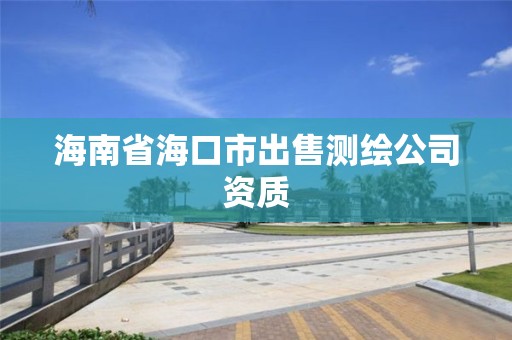 海南省海口市出售測繪公司資質