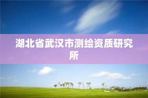 湖北省武漢市測繪資質研究所