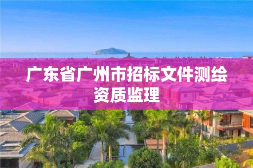 廣東省廣州市招標文件測繪資質監理