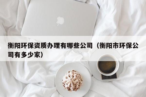 衡陽環保資質辦理有哪些公司（衡陽市環保公司有多少家）