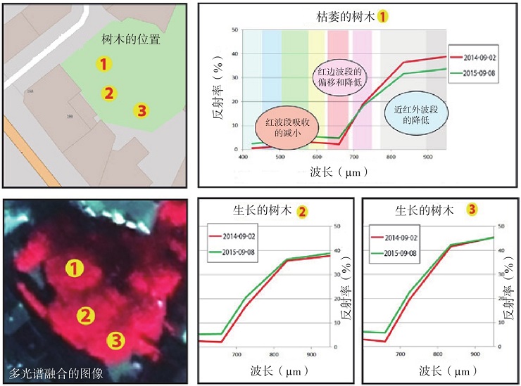 衛(wèi)星遙感數(shù)據(jù)是怎樣獲取的？如何從中提取有用信息？