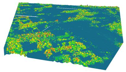 DEM、DSM 和 DTM 的區別——GIS 中的高程模型