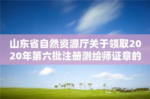 山東省自然資源廳關于領取2020年第六批注冊測繪師證章的公告