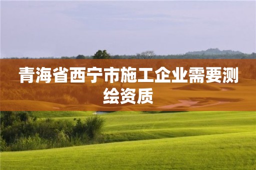 青海省西寧市施工企業(yè)需要測(cè)繪資質(zhì)