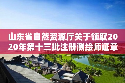 山東省自然資源廳關(guān)于領(lǐng)取2020年第十三批注冊測繪師證章的公告