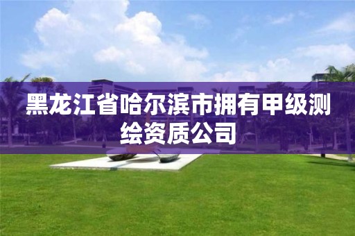 黑龍江省哈爾濱市擁有甲級測繪資質公司