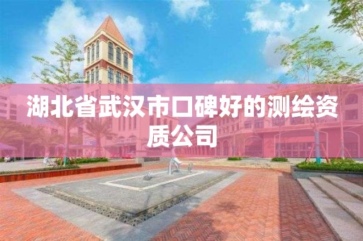 湖北省武漢市口碑好的測繪資質(zhì)公司