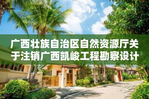 廣西壯族自治區自然資源廳關于注銷廣西凱峻工程勘察設計有限公司測繪資質的公告