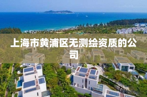 上海市黃浦區無測繪資質的公司